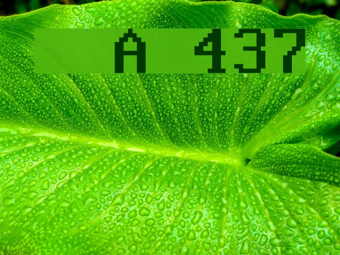 Perfect DOS VGA 437 Font examples