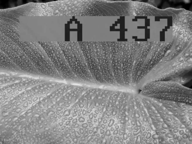 Perfect DOS VGA 437 Font examples