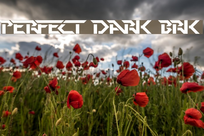 Perfect Dark [BRK] Schriftart examples