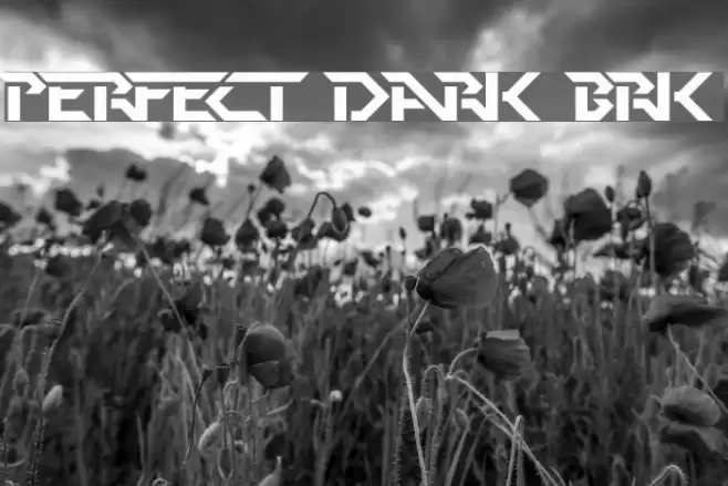 Perfect Dark [BRK] Schriftart examples