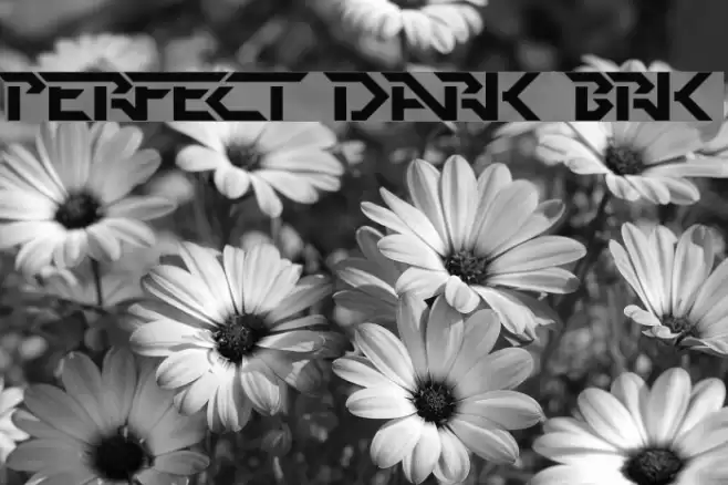 Perfect Dark [BRK] Schriftart examples