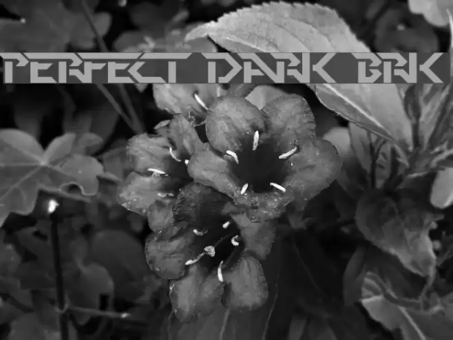 Perfect Dark [BRK] Schriftart examples