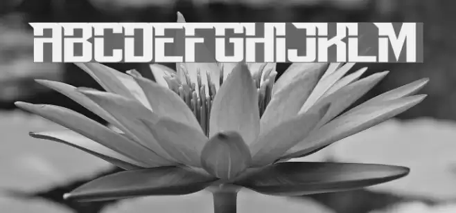 Perfect Dark Zero Polices examples