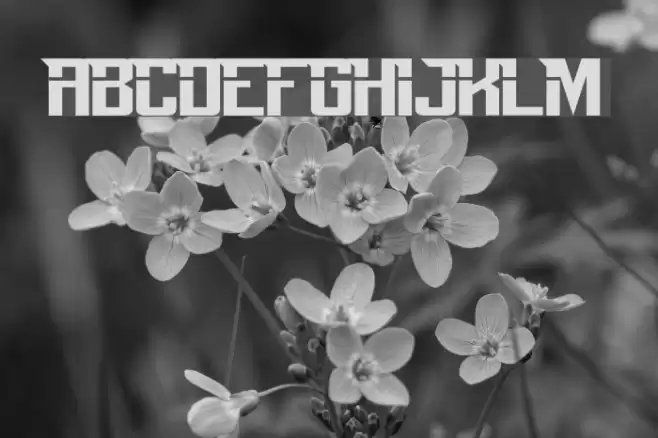 Perfect Dark Zero Polices examples