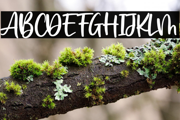 Perfect Island Example 2