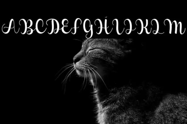 Perfect Lova Font examples