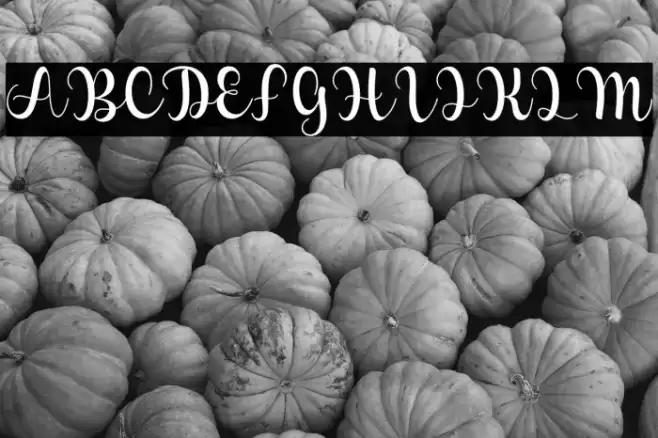 Perfect Lova Font examples