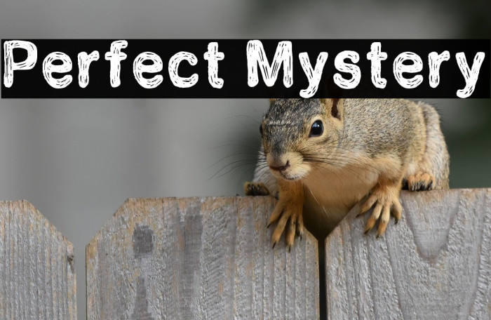 Perfect Mystery Example 1
