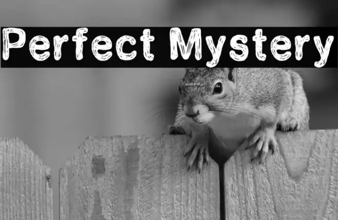 Perfect Mystery Font examples