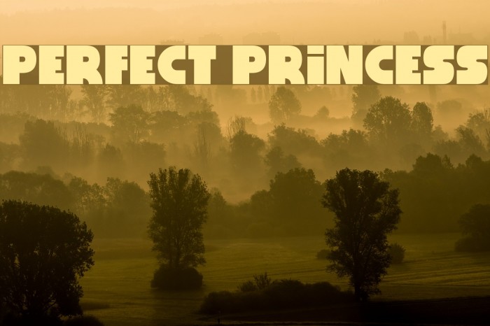 Perfect princess
