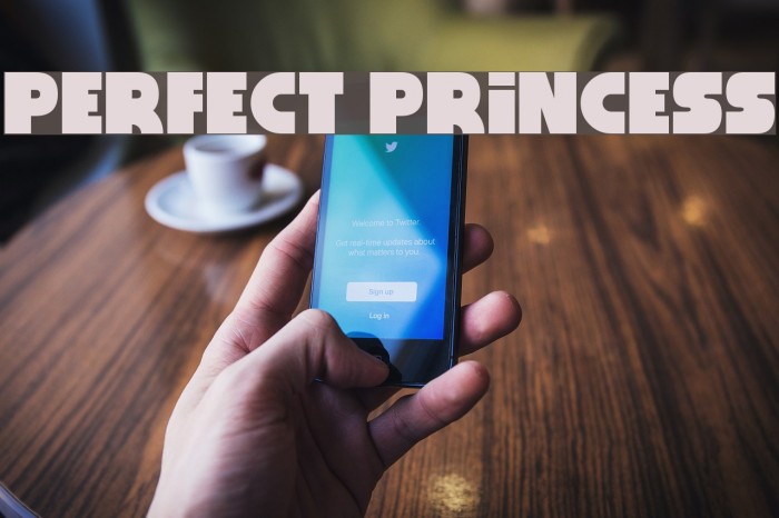 Perfect Princess Font examples