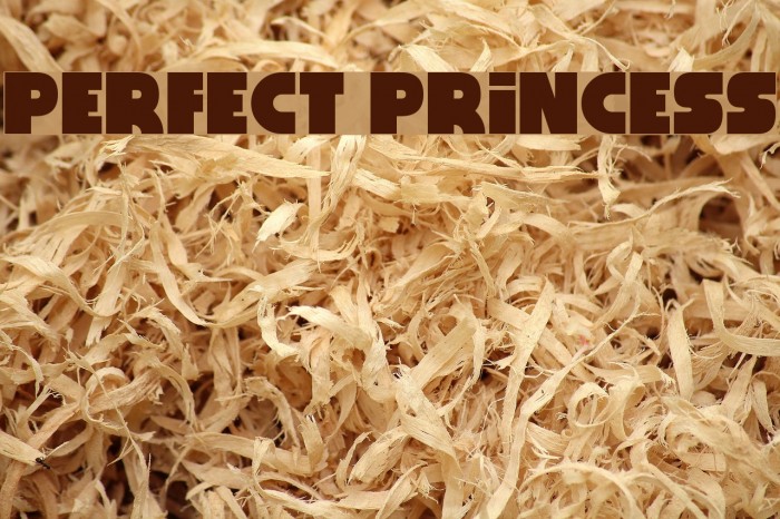 Perfect Princess Font examples