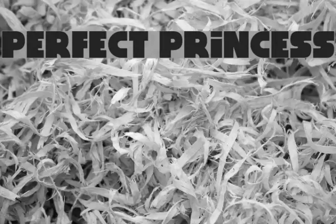 Perfect Princess Font examples