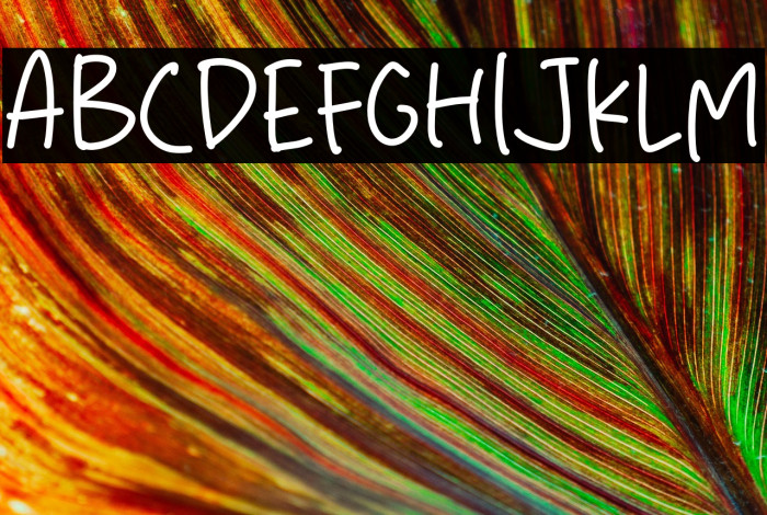 Perfect Time Example 1