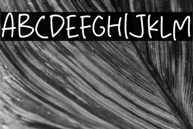 Perfect Time خط examples