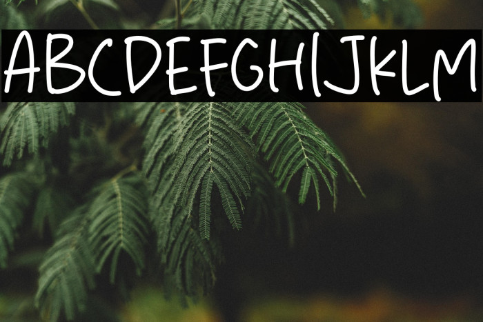 Perfect Time Example 3