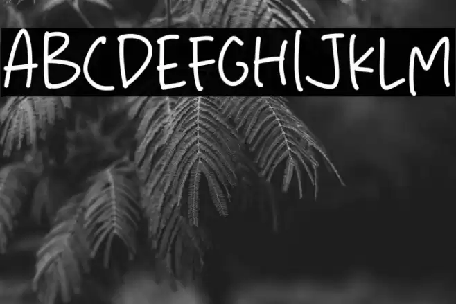 Perfect Time خط examples