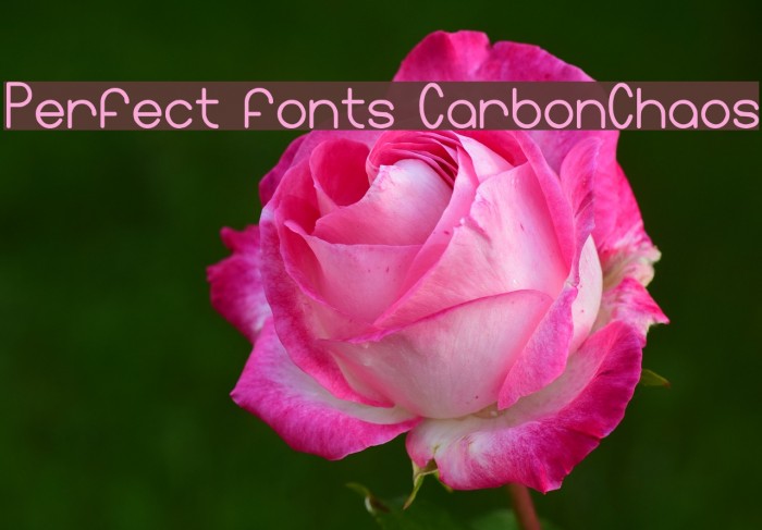 Perfect fonts CarbonChaos Font examples