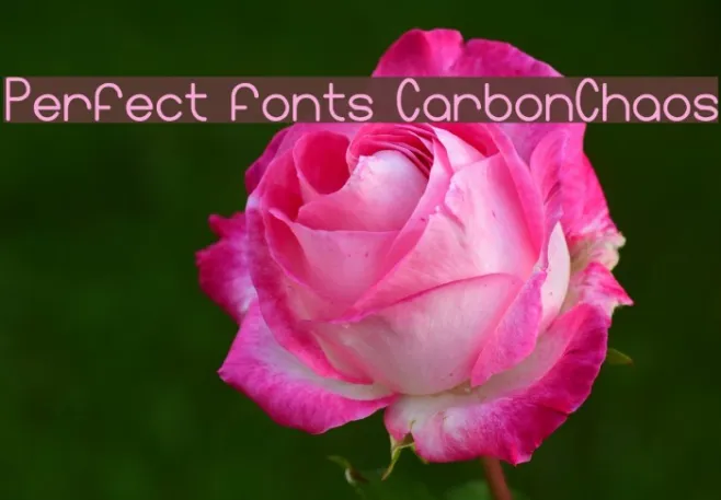 Perfect fonts CarbonChaos Example 2
