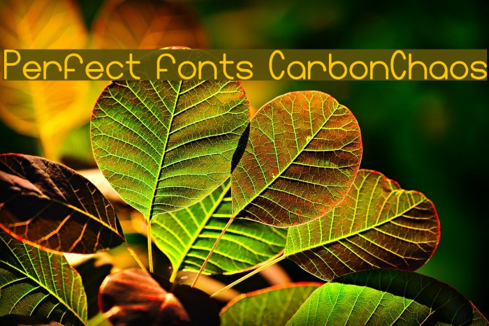 Perfect fonts CarbonChaos Font examples