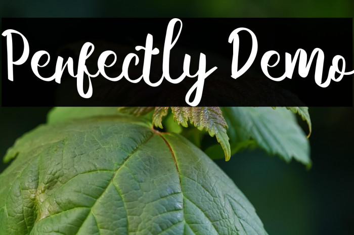Perfectly Demo Example 1