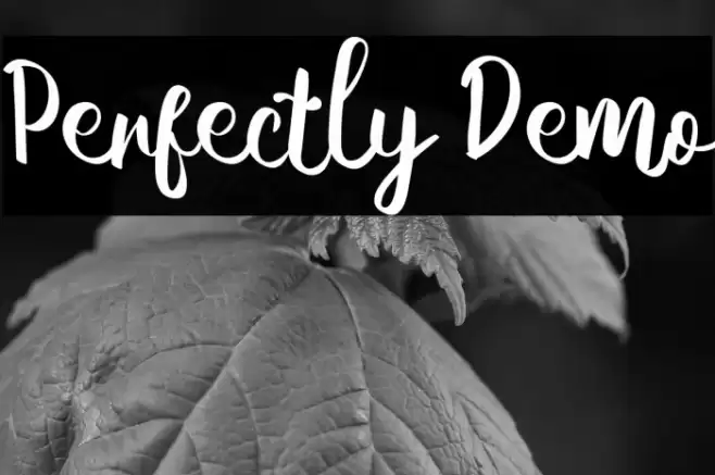 Perfectly Demo Font examples