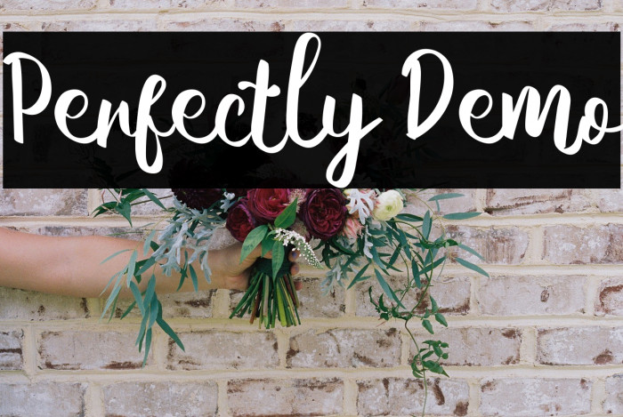 Perfectly Demo Example 3