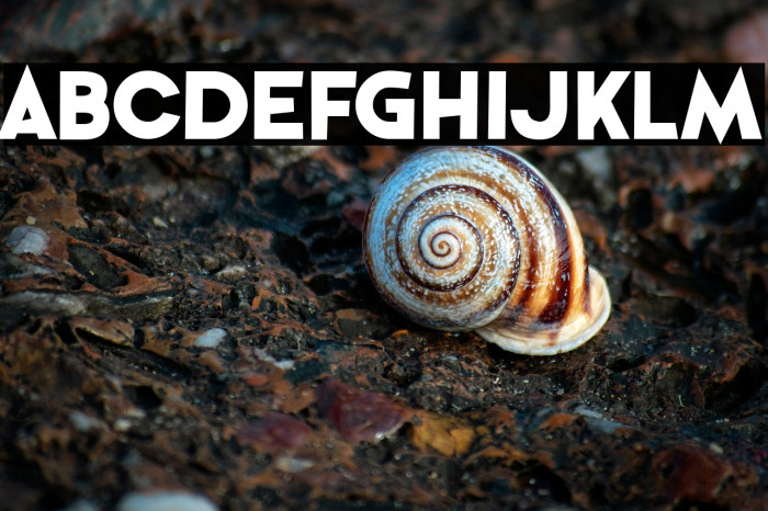 Perfectly Together Example 2