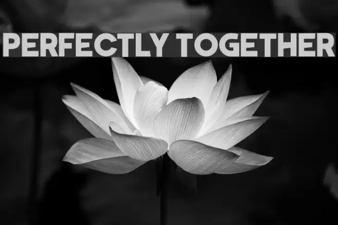 Perfectly Together Font examples