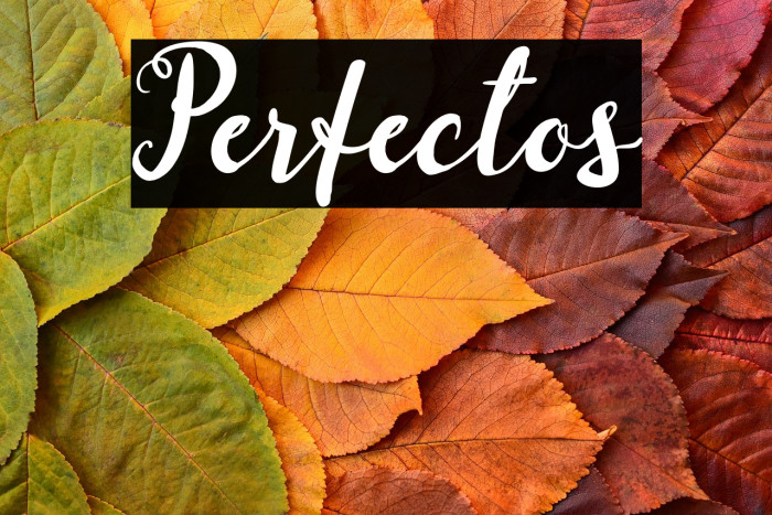 Perfectos Example 1