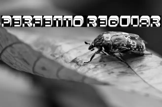 Perfetto Regular Font examples