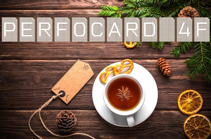 Perfocard 4F Example 3