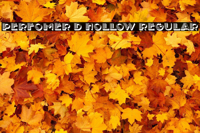 Perfomer 3D Hollow Regular Example 1