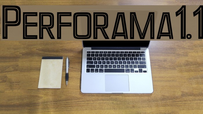 Perforama1.1 Example 1