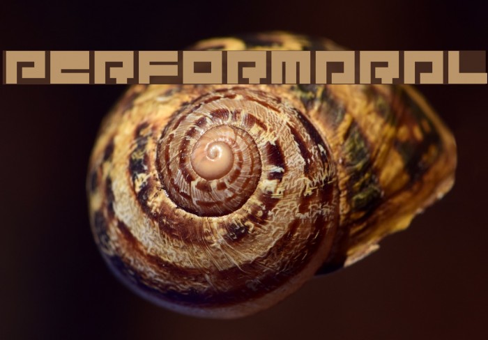 PerformarAL Example 3