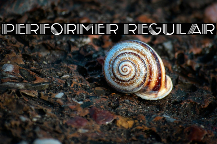 Performer Regular Example 2