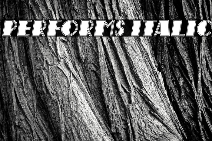 Performs Italic Example 1