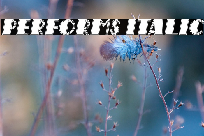 Performs Italic Example 3