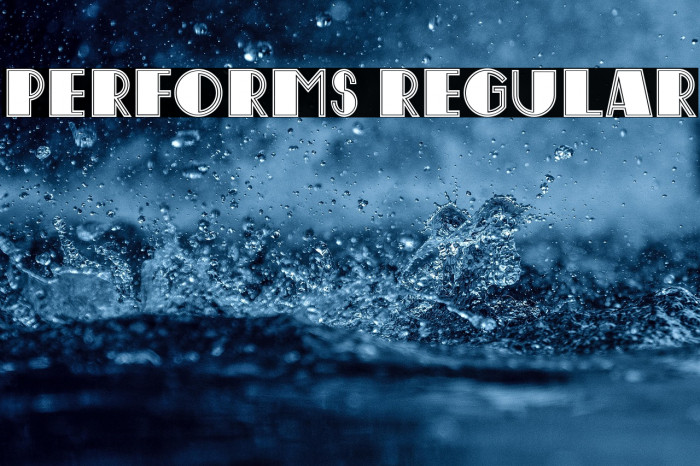 Performs Regular Example 2