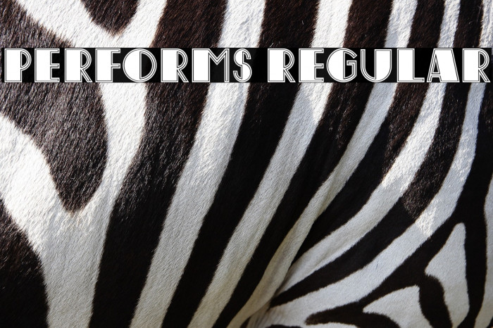 Performs Regular Example 3