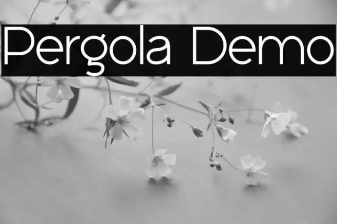 Pergola Demo Font examples