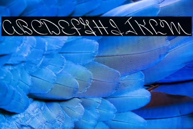 Perhaps Love Example 1