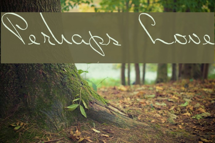 Perhaps Love Example 1