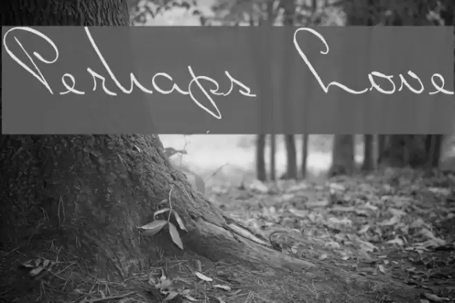Perhaps Love Font examples