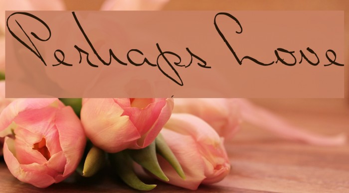 PerhapsLove Example 2