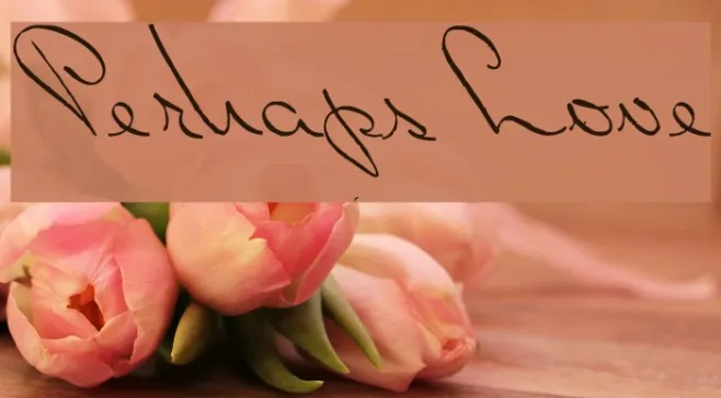 PerhapsLove Example 2