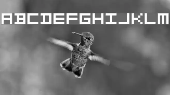 Period X Font examples