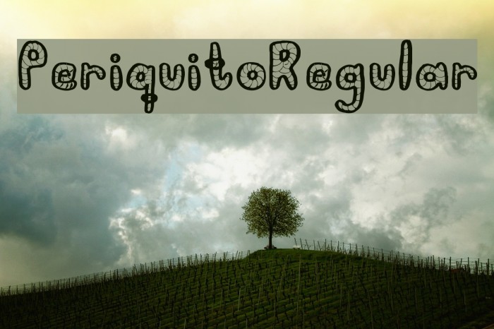 PeriquitoRegular Example 3