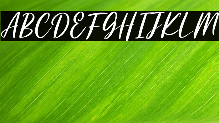 Perisland Personal Use Example 1