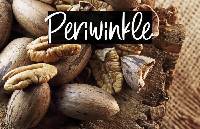 Periwinkle Example 1